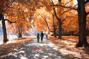 文化中国行长江之歌 | 江水奔涌，古城墙边听历史涛声